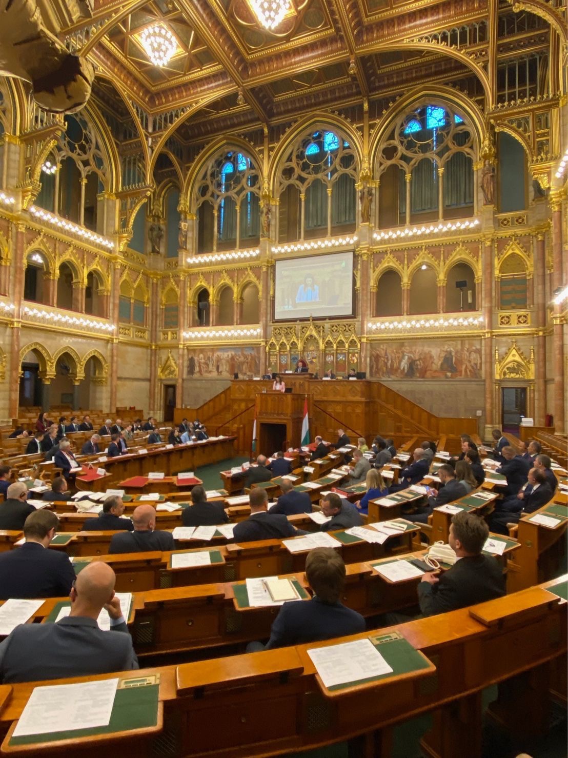 Hungarian Parliament where the Task Force was formed: Anne Basham (USA)