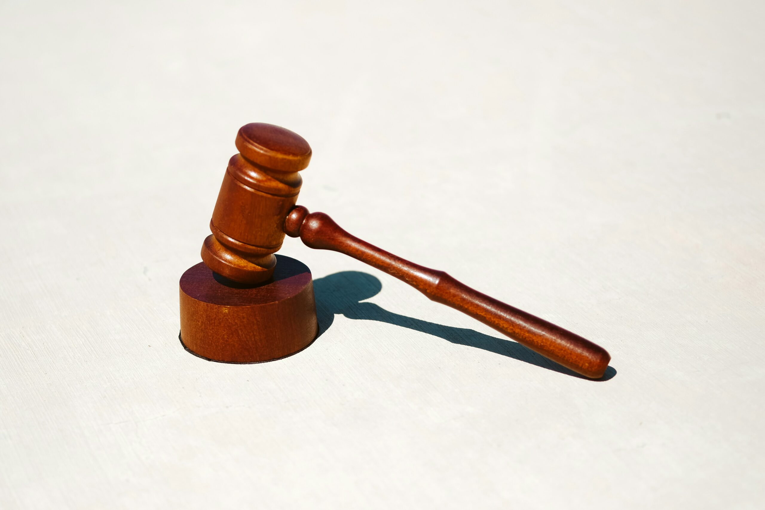 ITHT Founder Anne Basham: The Principle of Non-Punishment - historic bill in the United States